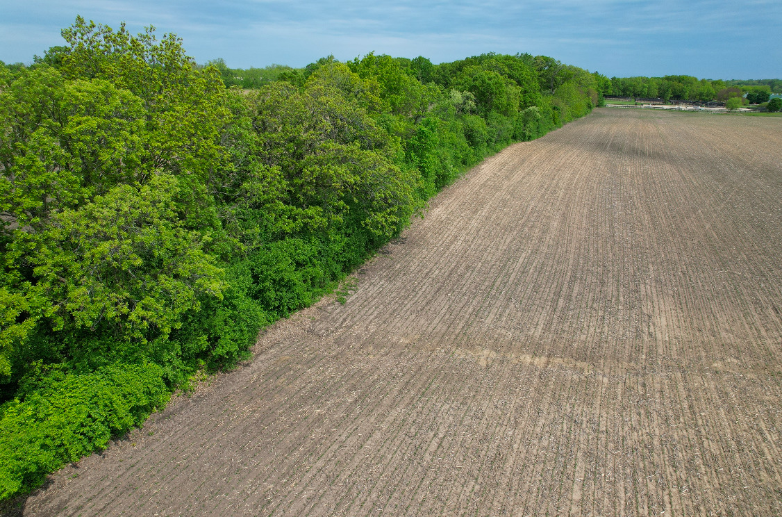 41616 North Delany Road Wadsworth, IL 60099 - Photo 27 of 37 a view of a back yard