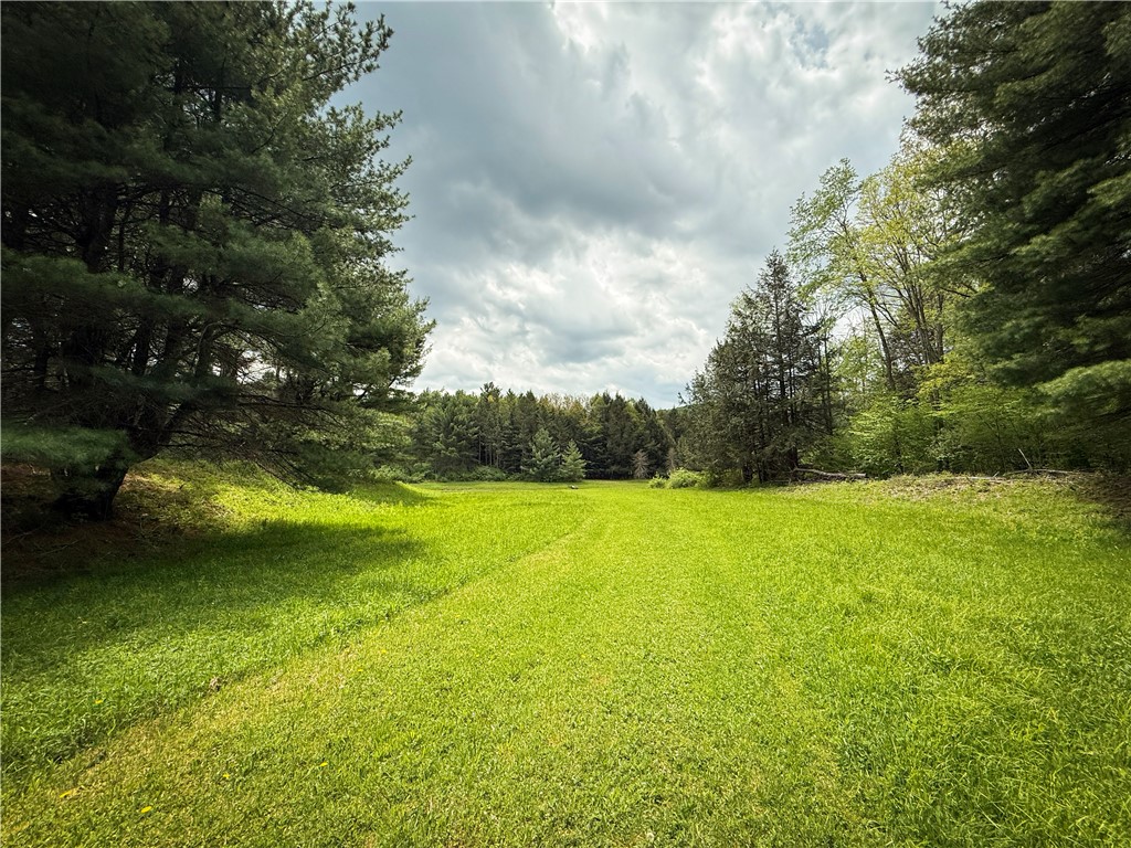 450 Dean Creek Road Spencer, NY 14883 - Photo 27 of 50