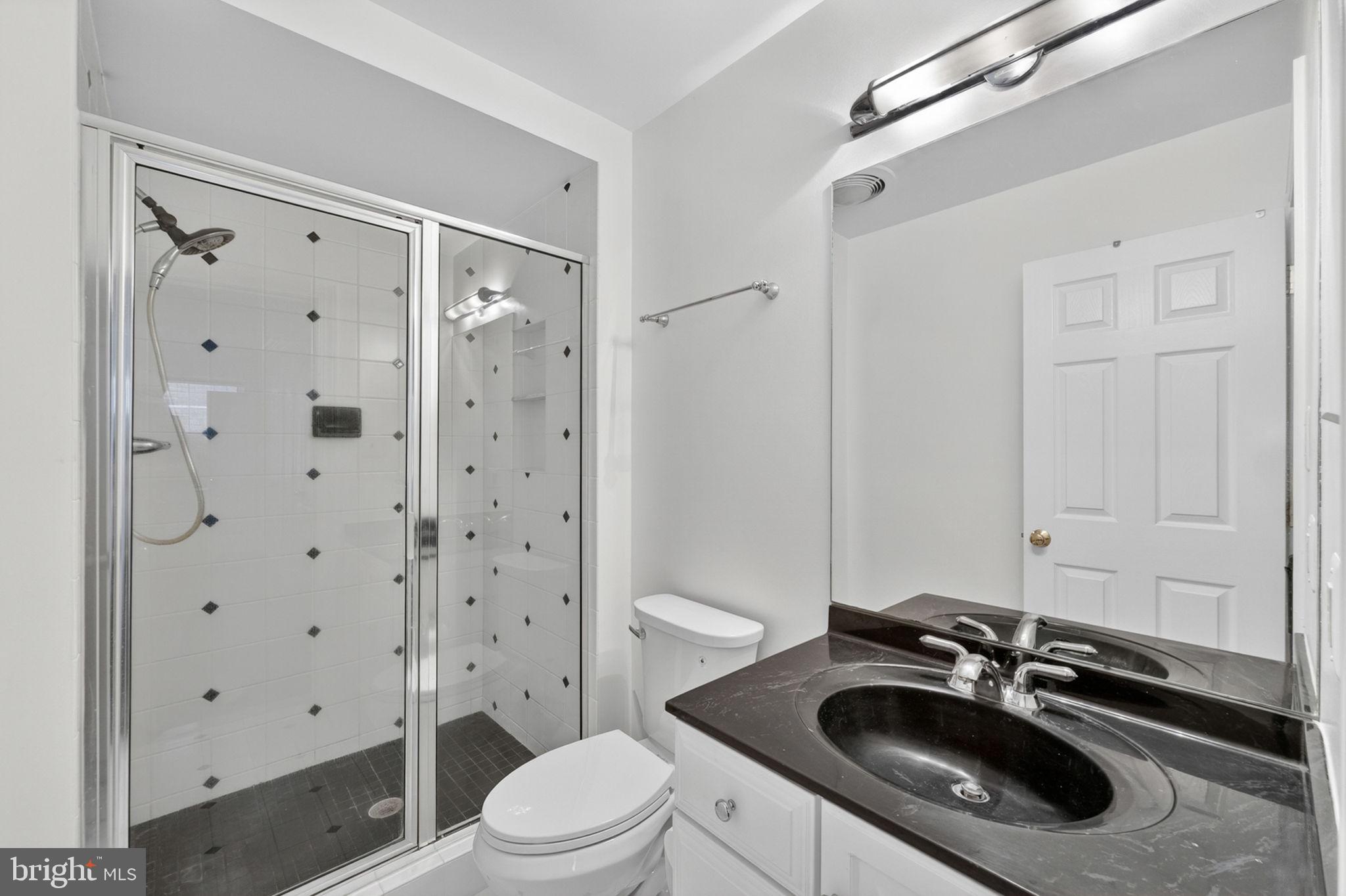 4531 Den Haag Road Warrenton, VA 20187 - Photo 82 of 103 a bathroom with a sink a toilet a shower and a mirror