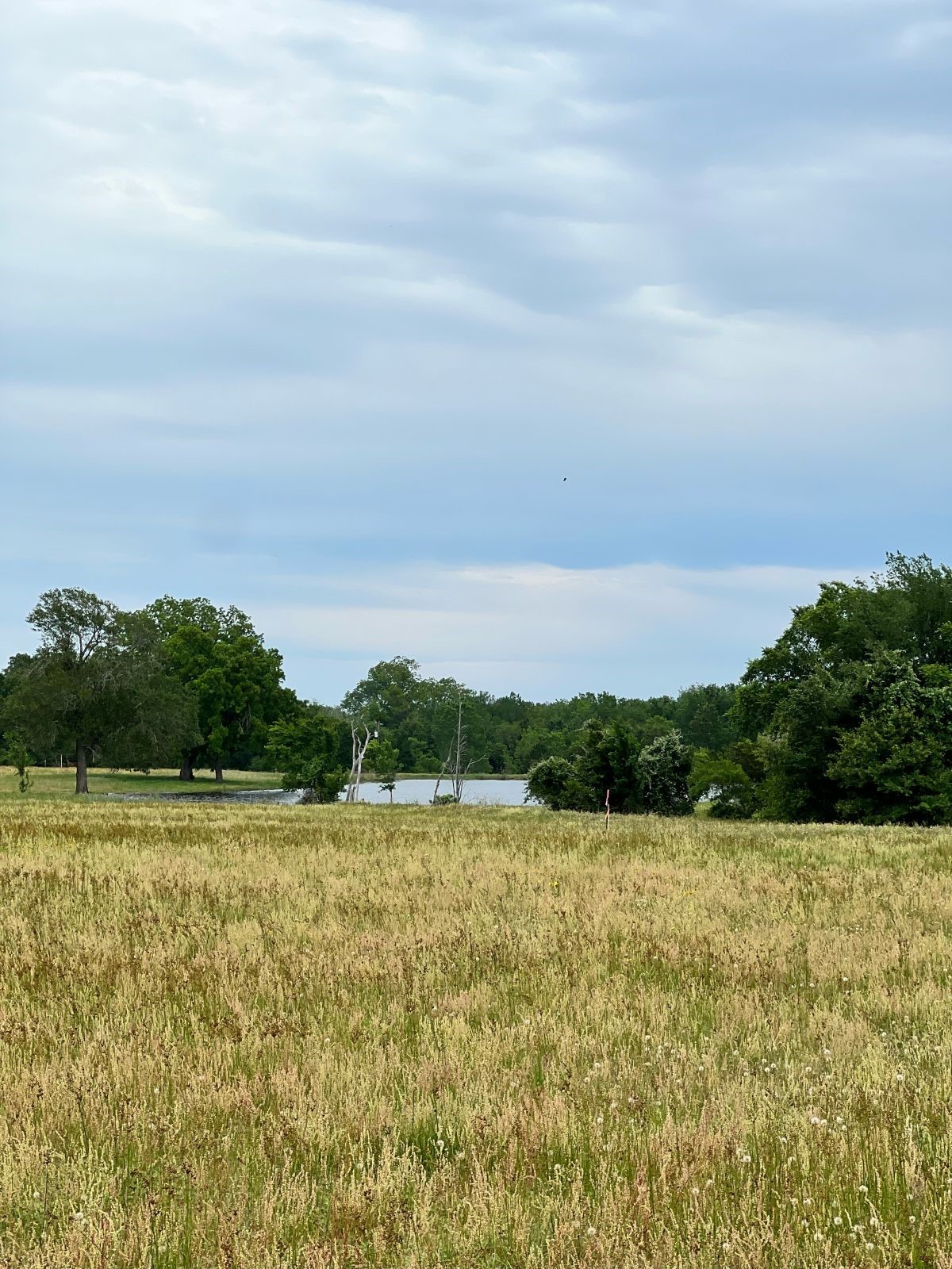 Tbd2 Tbd2 Davis Road La Grange, TX 78945 - Photo 2 of 8 View of local wilderness with a water view and a rural view