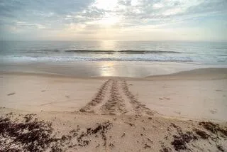 $3,999 | 4550 Jolly Roger Manor, Vero Beach, FL 32967