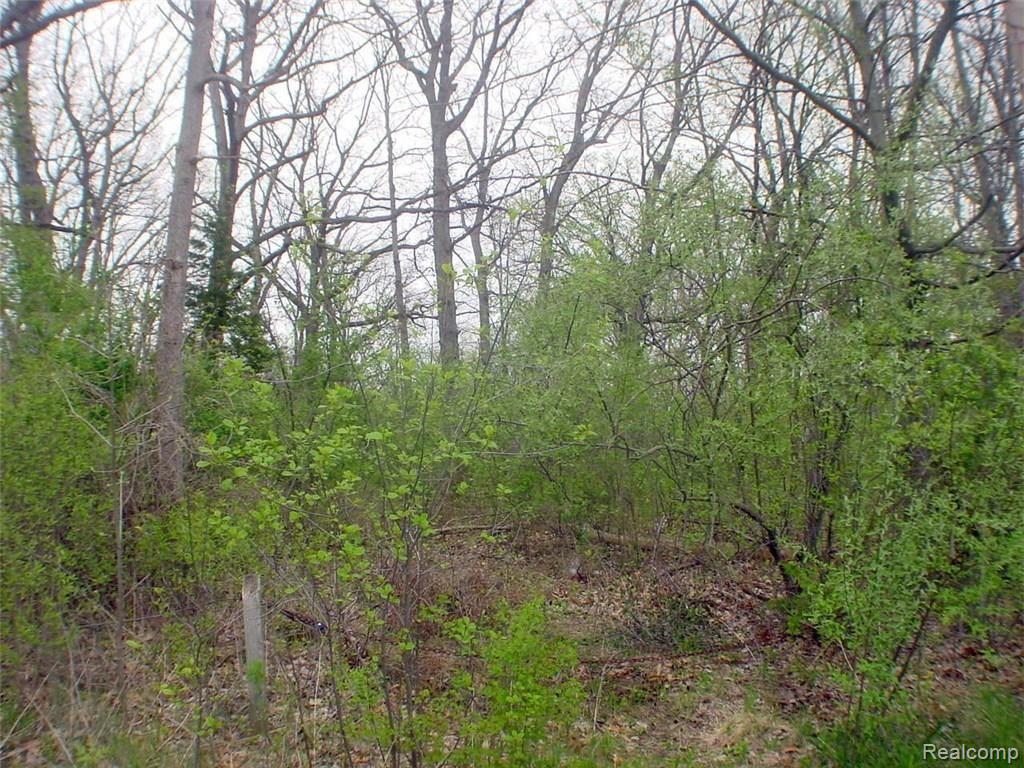 0 Windwheel Point Drive Pinckney, MI 48169 - Photo 2 of 7