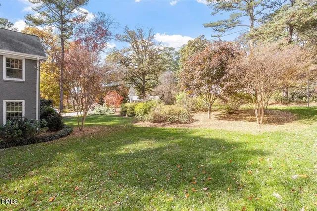 a view of yard with green space