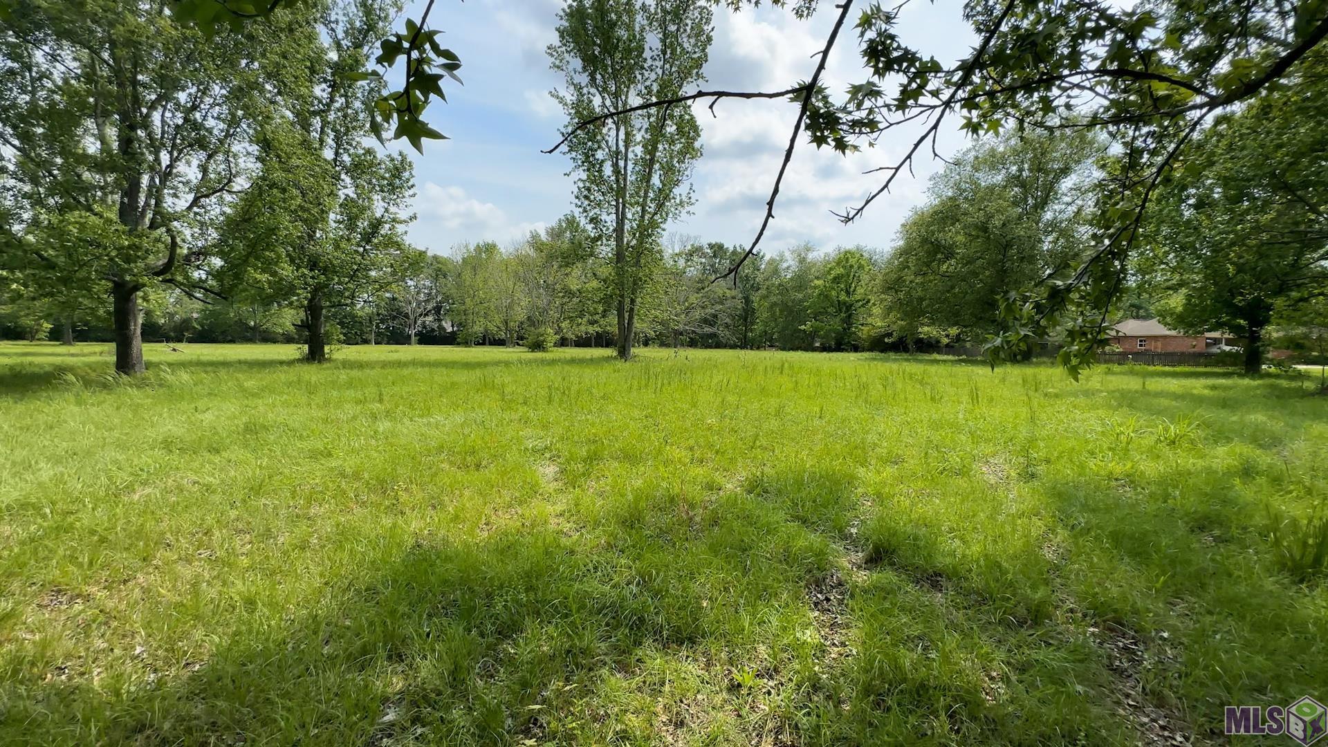 15038 Highland Road Baton Rouge, LA 70810 - Photo 4 of 5