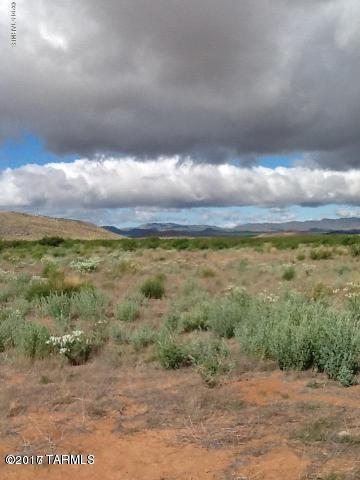 40-ac Tyree Road, Unit 76 Pearce, AZ 85625 - Photo 2 of 3