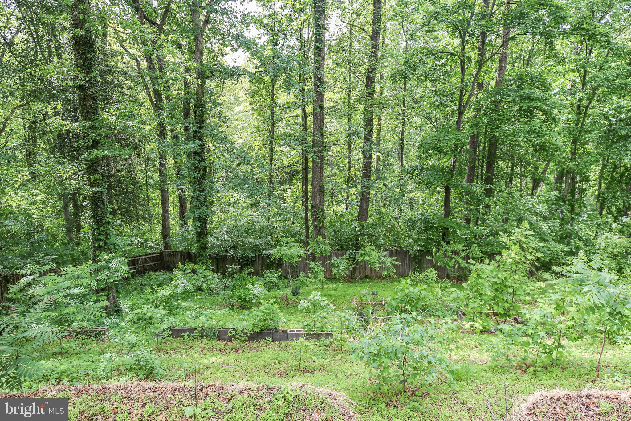 289 Sandy Ridge Road Fredericksburg, VA 22405 - Photo 35 of 37