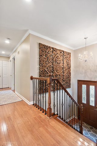 650 Rodenburg Road Roselle, IL 60172 - Photo 3 of 20