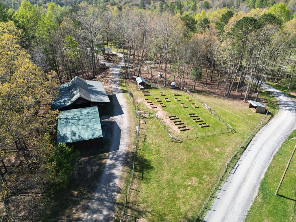 125 Spivey Ridge Road Blairsville, GA 30512 - Photo 2 of 56