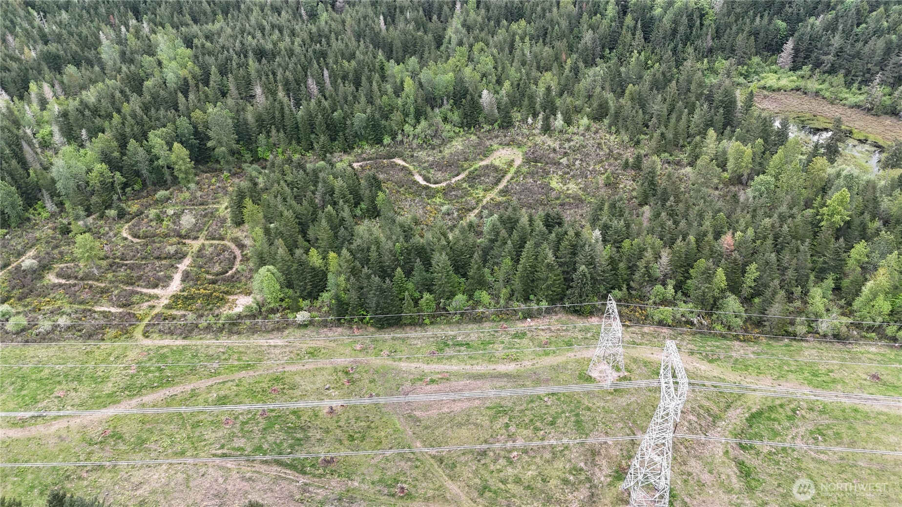0 A P Tubbs Road Wilkeson, WA 98396 - Photo 3 of 4