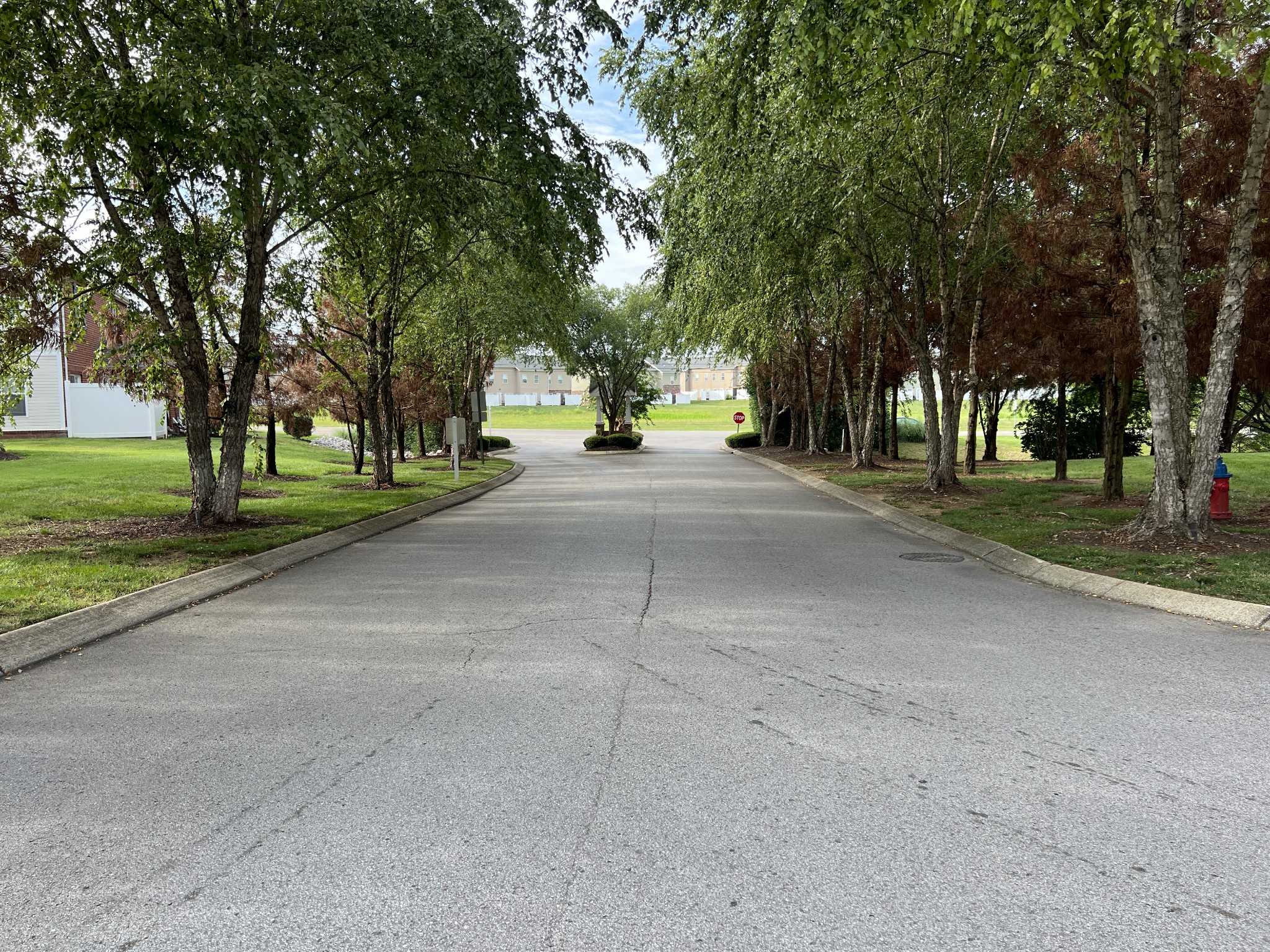 1040 Wells Way Spring Hill, TN 37174 - Photo 25 of 36 a view of a street with a house and trees in the background