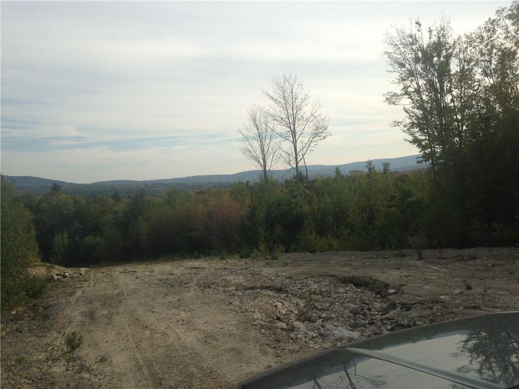 0 Estes Road Bryant Pond, ME 04219 - Photo 15 of 16 View from road next to the lot.