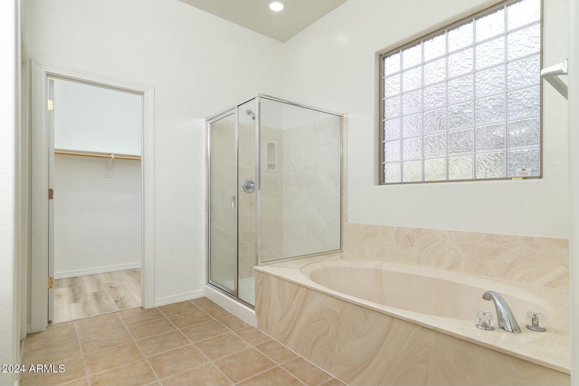 10169 East Dinosaur Ridge Road Gold Canyon, AZ 85118 - Photo 28 of 43 Master bathroom
