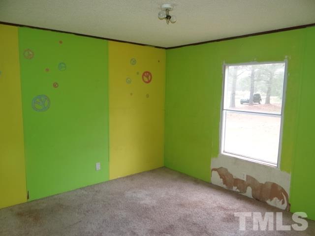 2574 Frazier Road Middlesex, NC 27557 - Photo 7 of 12
