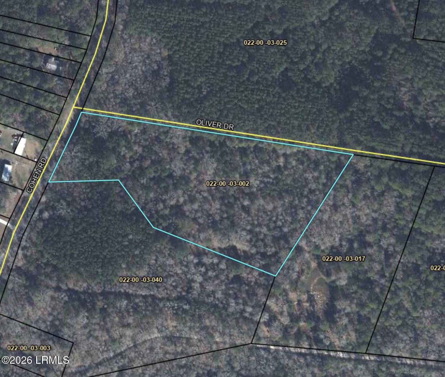 Tbd Cohen Road Pineland, SC 29934 - Photo 5 of 5 Aerial