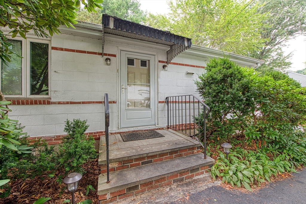 a view of a house with a small yard and a large tree