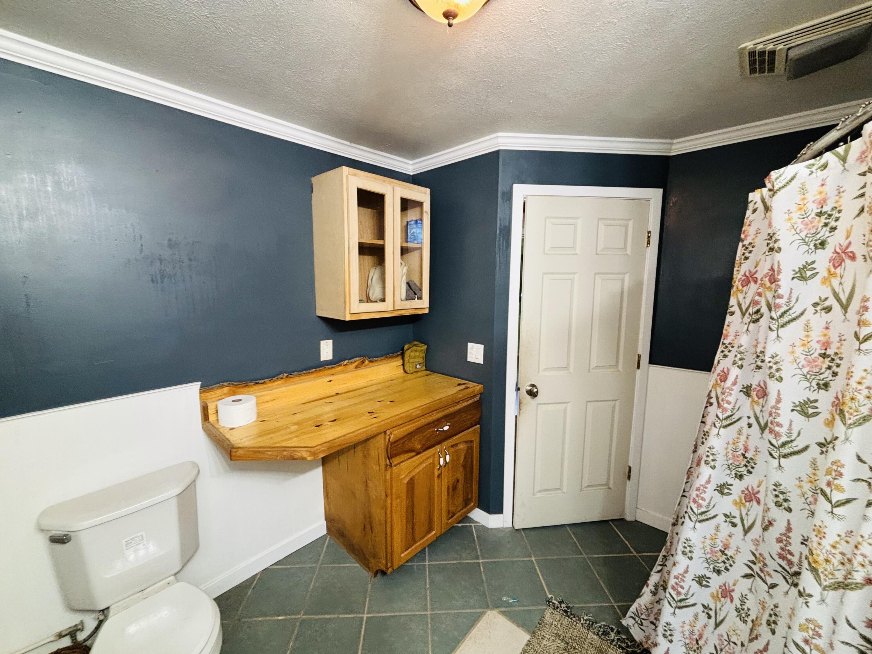 23390 Bluegill Road Sears, MI 49679 - Photo 15 of 38 7D5EA260-B3BE-45C3-AB28-D995806C7F8C