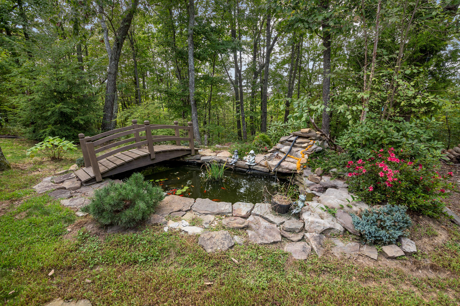 655 Stewart Lane Rising Fawn, GA 30738 - Photo 16 of 84 Gold Fish Pond