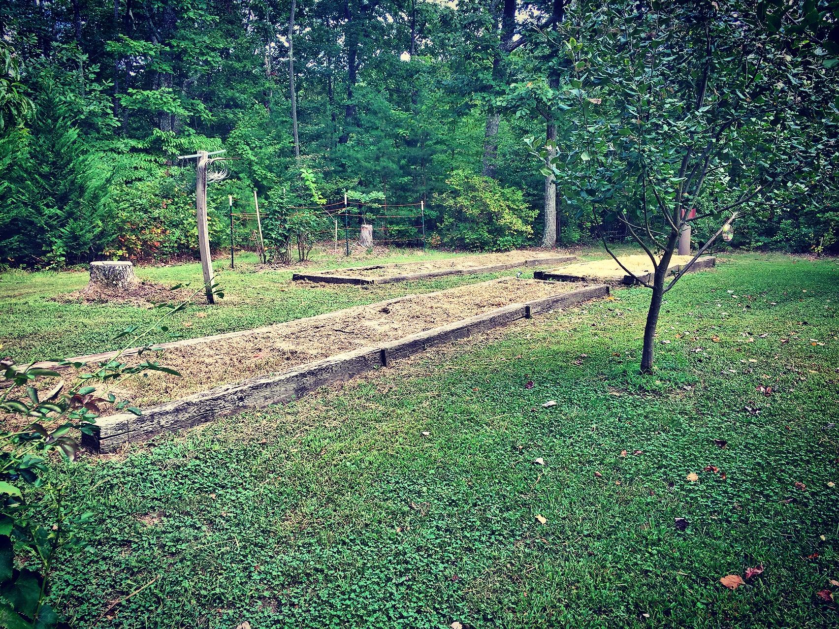 655 Stewart Lane Rising Fawn, GA 30738 - Photo 59 of 84 Raised Garden Beds