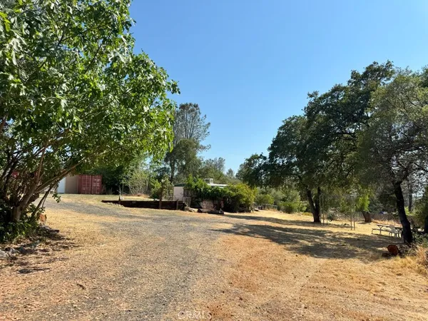 a view of a tree with a yard