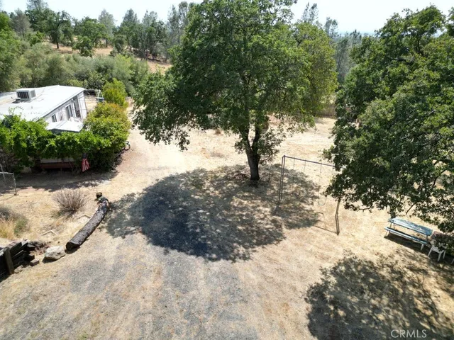 a view of a yard with a tree