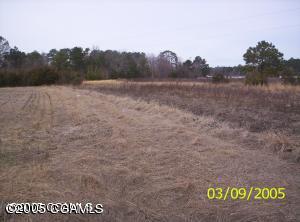 937 Hardesty Loop Road Newport, NC 28570 - Photo 4 of 6 Open Field