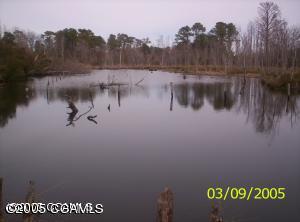 937 Hardesty Loop Road Newport, NC 28570 - Photo 5 of 6 Front Pond