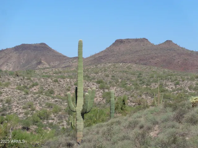 a view of a field with a mountain in the background