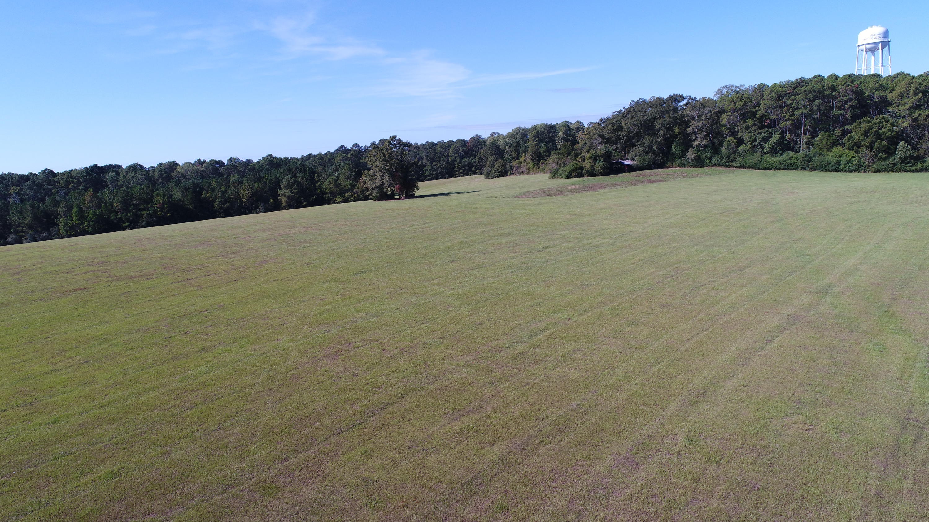 167 Peck Cawthon Road DeFuniak Springs, FL 32435 - Photo 43 of 48 DJI_0029