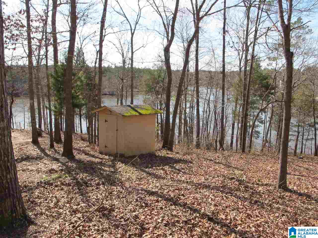 0 County Road 256 Wedowee, AL 36278 - Photo 7 of 8