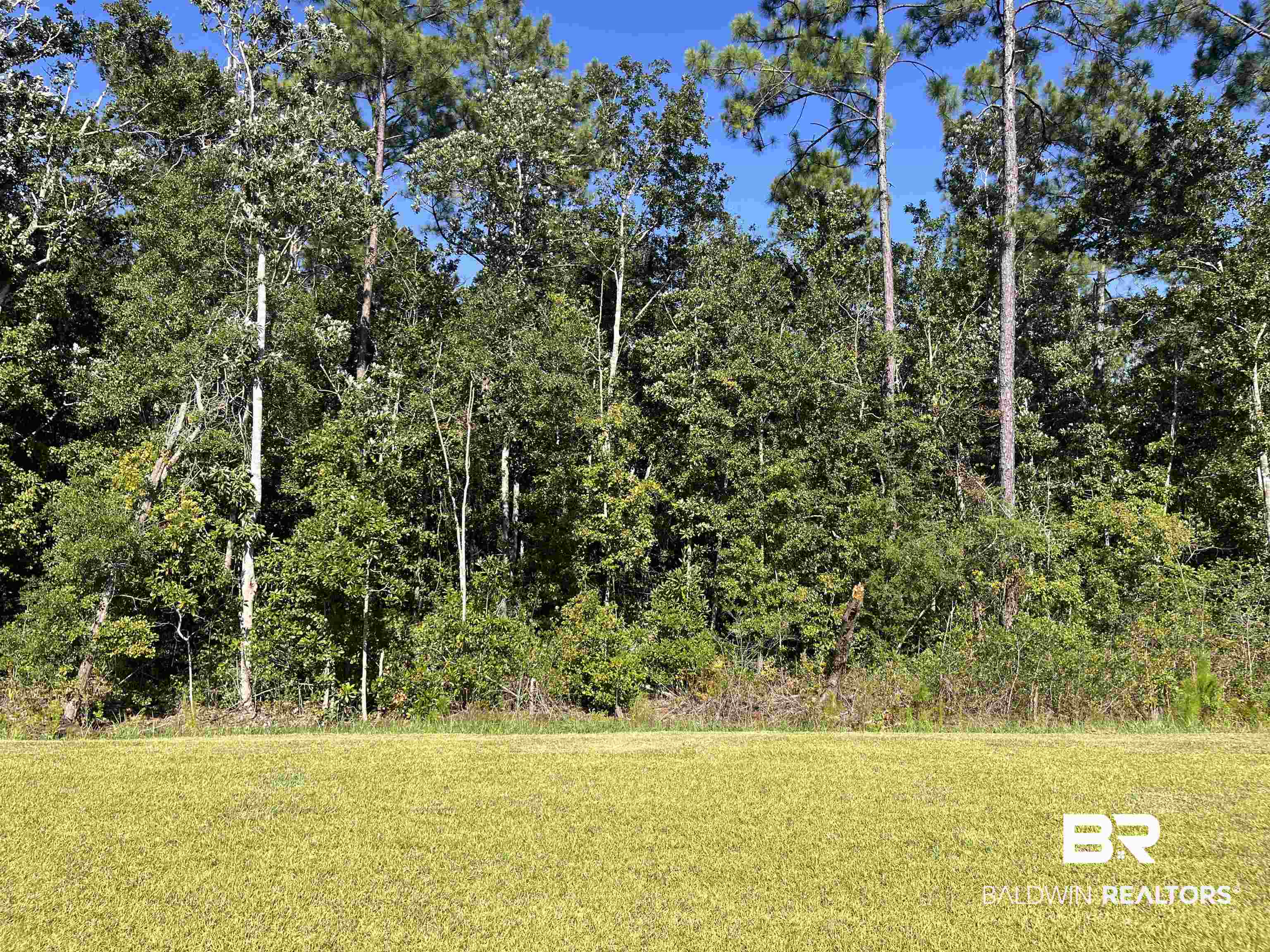 8891 Summer Bay Lane Foley, AL 36535 - Photo 43 of 54 Forest Backdrop