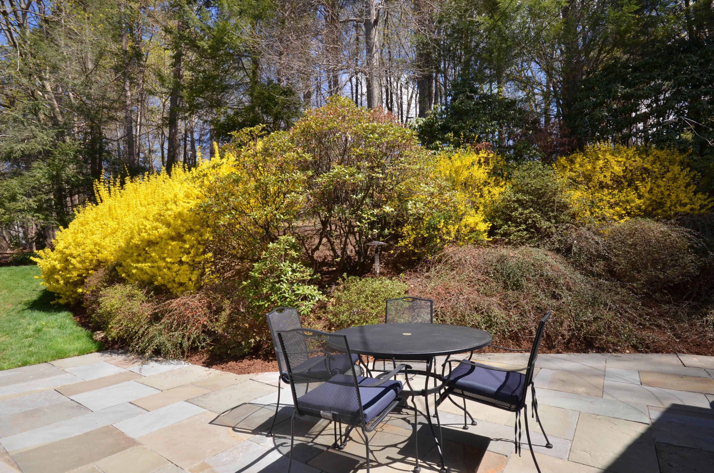 222 Marshall Ridge Road New Canaan, CT 06840 - Photo 40 of 49 a view of patio with table and chairs and potted plants