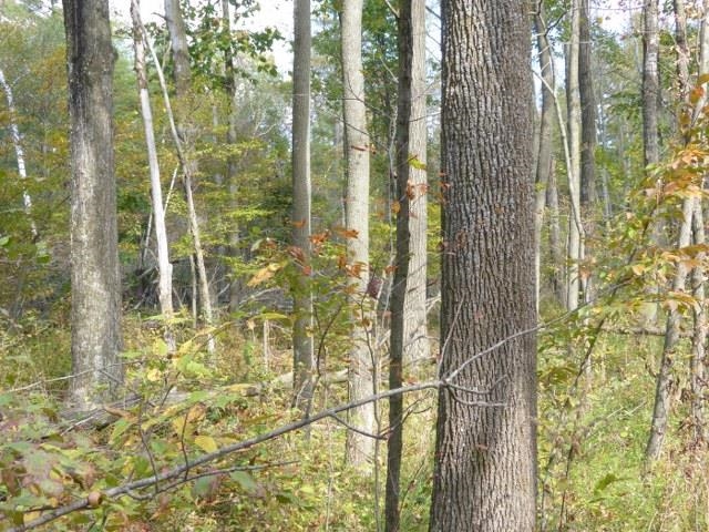 0 Harvest Moon Road Mosinee, WI 54455 - Photo 1 of 1