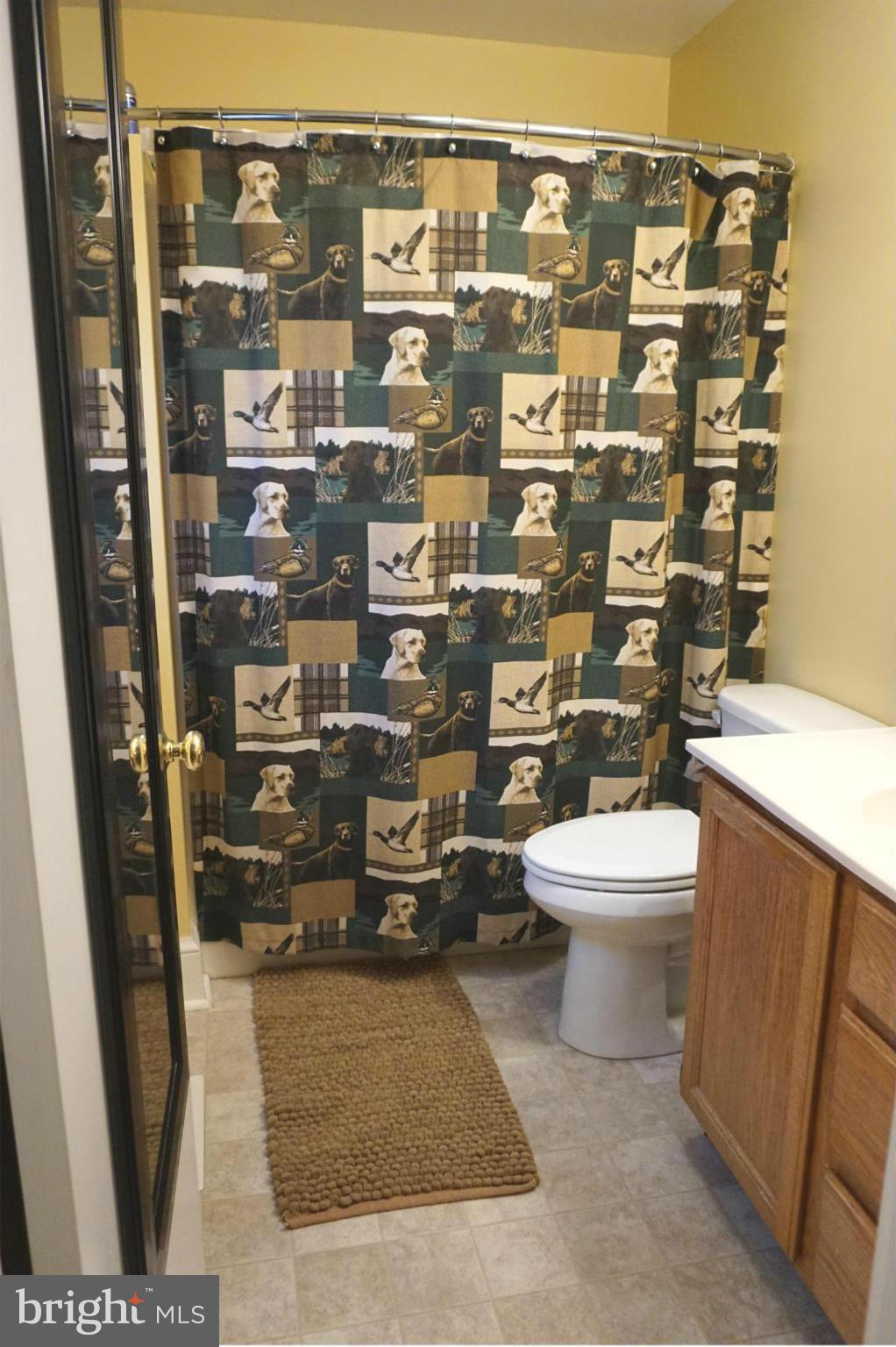 11629 Lynch Road Worton, MD 21678 - Photo 12 of 15 a bathroom with a toilet and shower