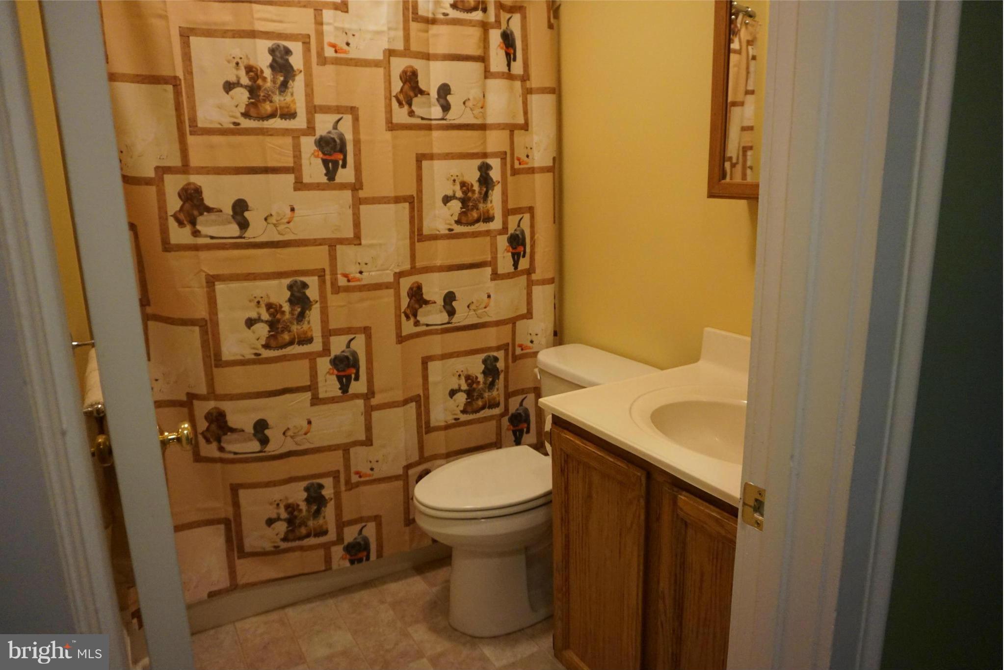 11629 Lynch Road Worton, MD 21678 - Photo 8 of 15 a bathroom with a toilet and a shower