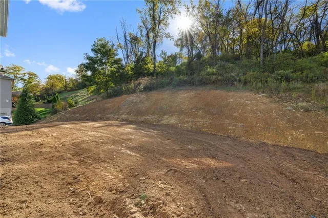 a view of a field with trees in background