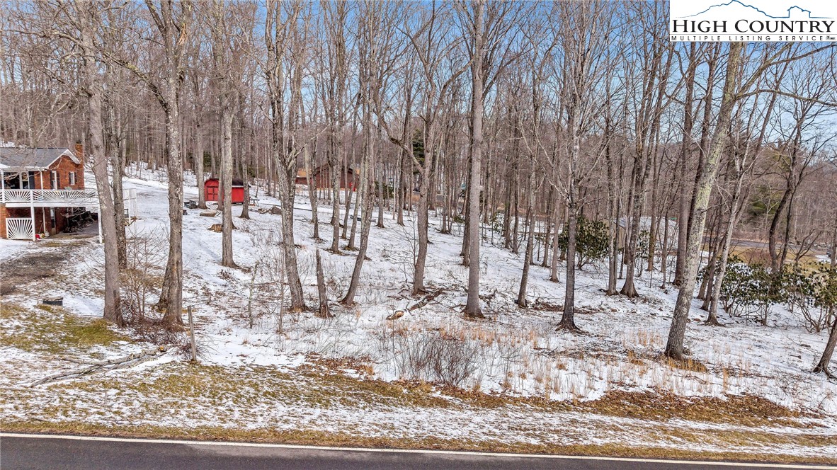 1417 Black Bear Inn Road West Jefferson, NC 28694 - Photo 27 of 27