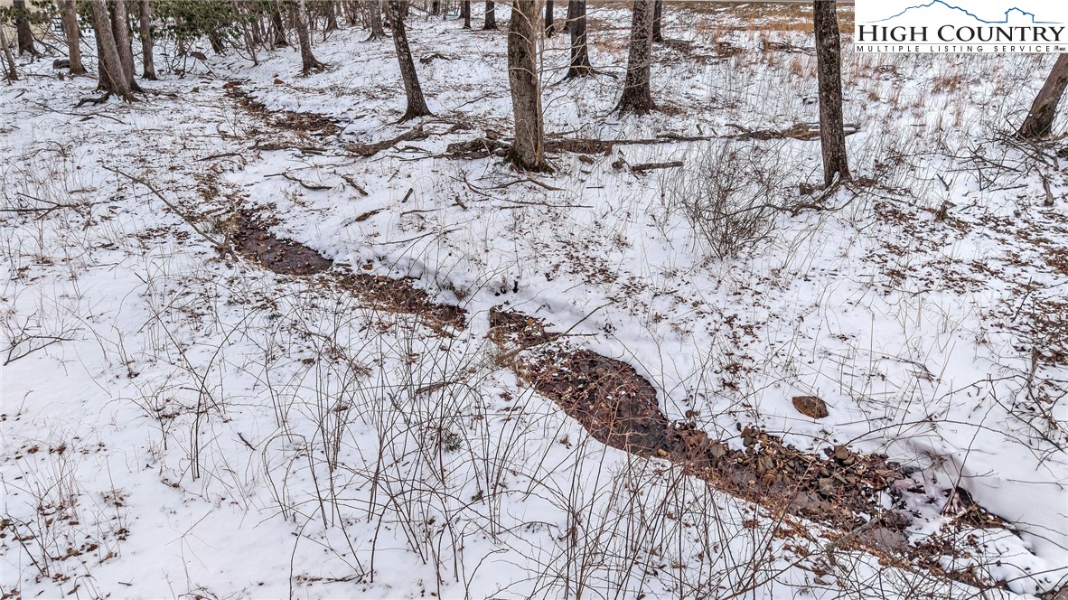 1417 Black Bear Inn Road West Jefferson, NC 28694 - Photo 4 of 27