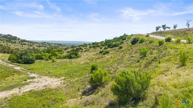 $229,900 | Lot 119 Falling Oak Drive, Blanco, TX 78606