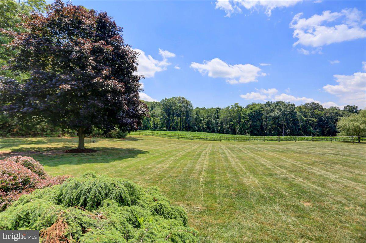 6685 Furnace Road Waynesboro, PA 17268 - Photo 39 of 45 Country views inviting wildlife