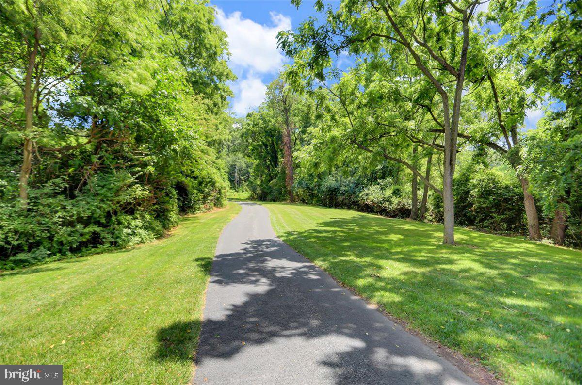 6685 Furnace Road Waynesboro, PA 17268 - Photo 44 of 45 Privacy awaits!