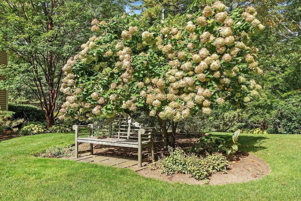 132 Williams Road Concord, MA 01742 - Photo 8 of 38 a view of a bench in the garden near a lake