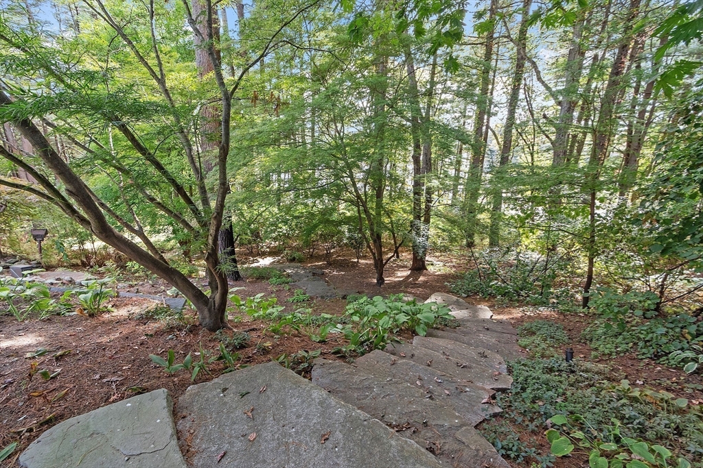 132 Williams Road Concord, MA 01742 - Photo 9 of 38 a backyard of a house with lots of green space