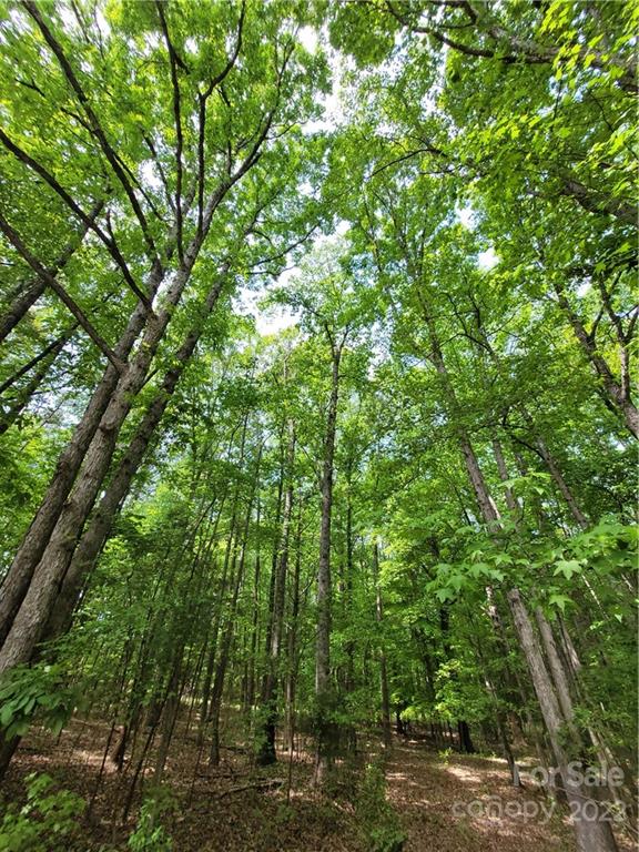 3007 Well Road Mint Hill, NC 28227 - Photo 4 of 10 Gallery Image 4