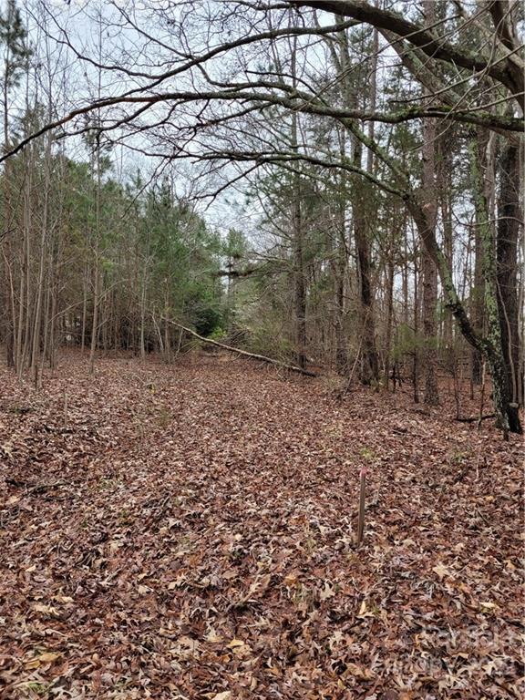 3007 Well Road Mint Hill, NC 28227 - Photo 8 of 10 Gallery Image 8