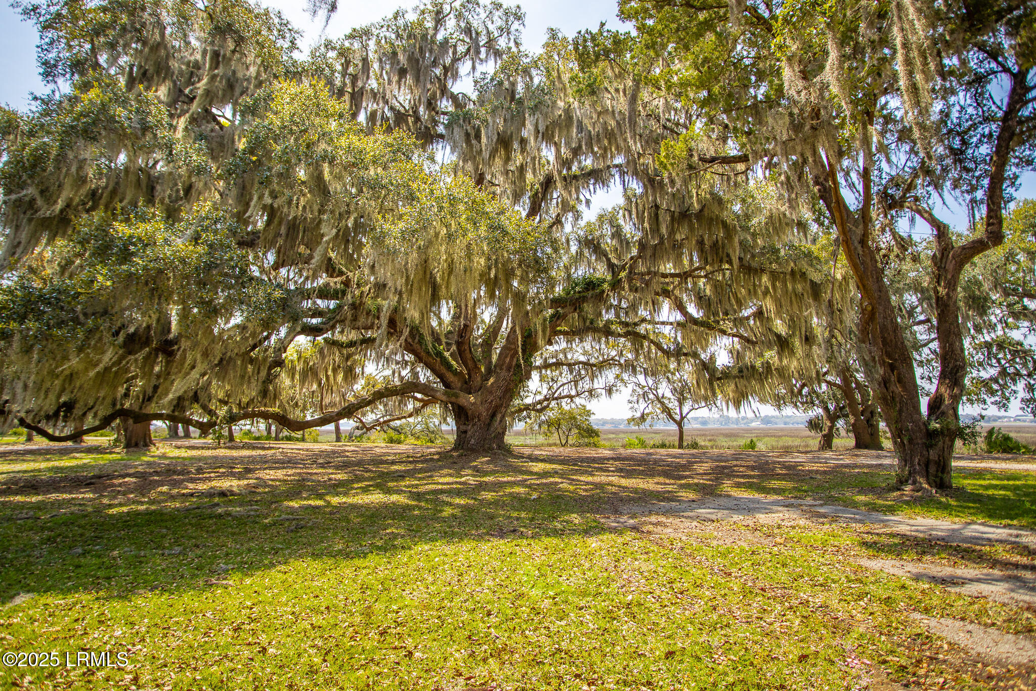 209 Harborview Drive Beaufort, SC 29907 - Photo 62 of 67 IMG_8890