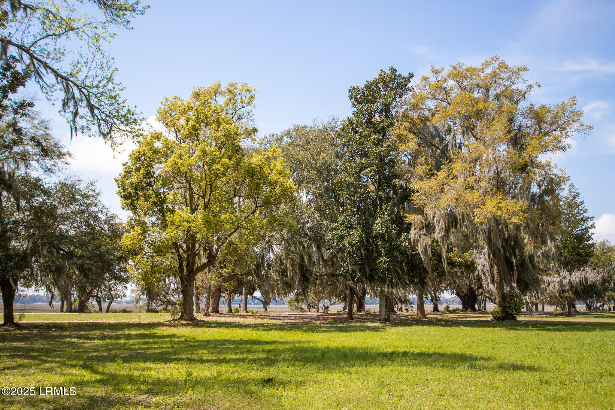 209 Harborview Drive Beaufort, SC 29907 - Photo 63 of 67 IMG_8913