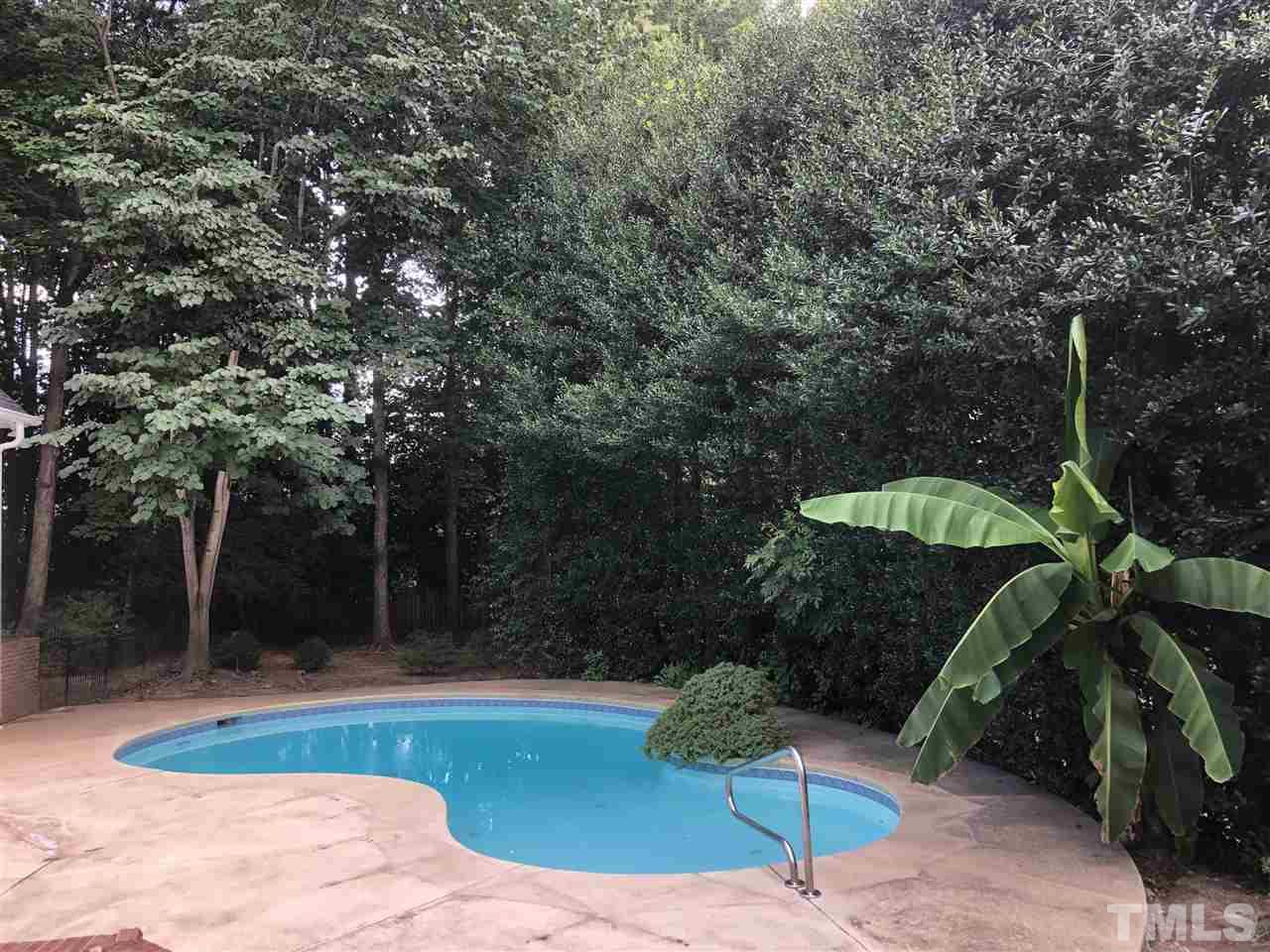 109 Ronsard Lane Cary, NC 27511 - Photo 3 of 26 a view of a backyard