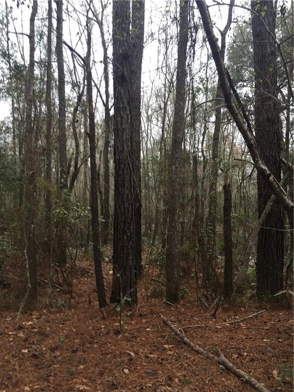 1064 Rd Hammond La Hammond, LA 70401 - Photo 3 of 3