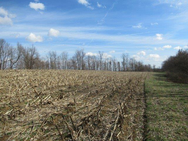 7052 Buckeye Road Lancaster, KY 40444 - Photo 7 of 11 Photo 7