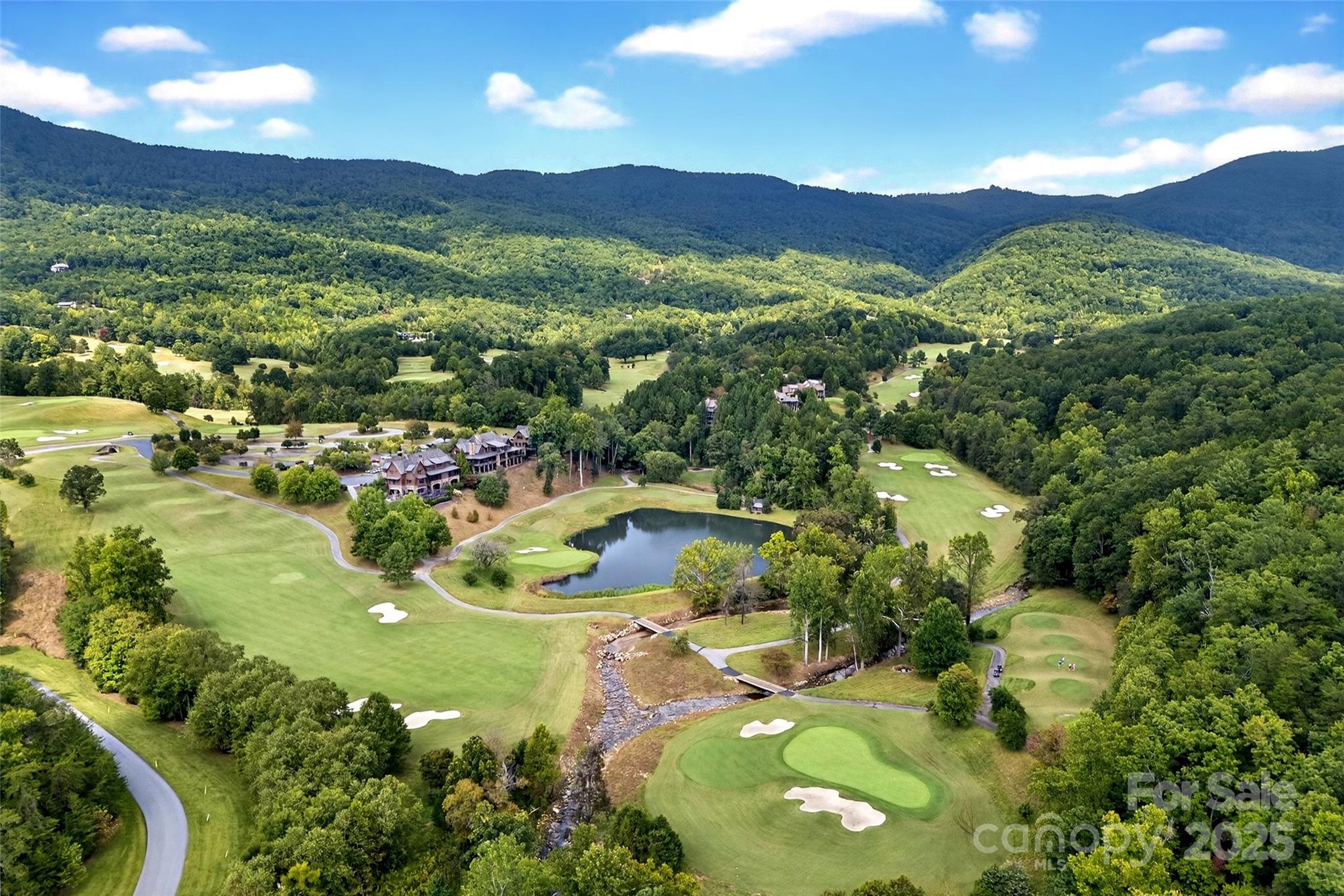275 Clubhouse, Unit C202 Mill Spring, NC 28756 - Photo 3 of 48 a view of a lake with a mountain in the background